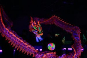 第16屆全港公開夜光龍錦標
