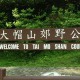 YTF 元打火