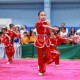 『胡振中盃』全港小學武術錦標賽