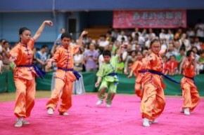 Samsung 第59屆體育節 - 武術匯演