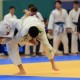 東亞柔道形錦標賽