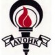 AVOHK 5公里系列賽一