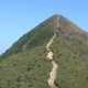 2016 針山十登
