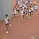 馬鞍山盃8k長跑賽2010暨2 公里賽