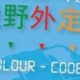 2016/2017 色級定向賽