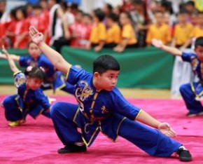 第二屆胡振中盃全港小學武術錦標賽