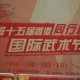 第15屆香港國際武術節