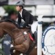2017年度香港馬術馬王賽之浪琴表2017年度場地障礙馬王賽