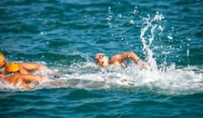 國際泳聯/Hosa十公里世界盃馬拉松游泳賽2017-香港