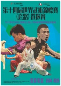 第十四屆世界武術錦標賽(套路)選拔賽