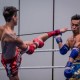 2017年度香港泰拳冠軍爭奪戰