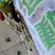第廿九屆香港運動擧登公開賽