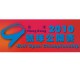 2010香港9號球公開賽-第一站(順利村體育館)