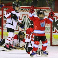 2010 Mega Ice 五人冰球賽