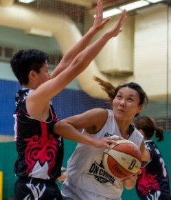 2018年度香港籃球聯賽女子甲組賽事