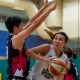 2018年度香港籃球聯賽女子甲組賽事