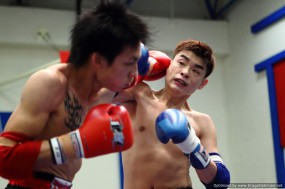 ATMA 泰拳邀請賽 2010