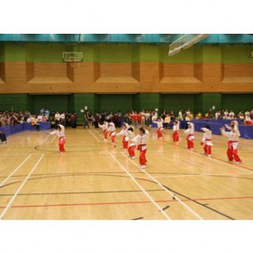 全港公開兒童國術 分齡賽2010