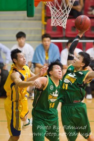 2010年香港籃球聯賽男子甲一