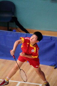 2009 - 2010 年度全港小學區際羽毛球比賽