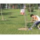 黃昏公園定向巡迴賽2010(九龍公園)
