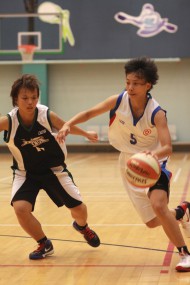 2010年香港籃球聯賽女子甲組