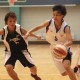 2010年香港籃球聯賽女子甲組