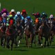 Horse racing