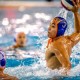 Panasonic 香港大專體育協會男子水球錦標賽2018-19
