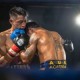 WBC Champion Boxing : Night of Ring Diamonds