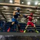 第五屆香港盃國際拳擊邀請賽