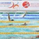 殘疾人士體育比賽-智障人士游泳邀請賽