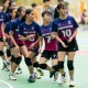 2019全港中小學學界閃避球錦標賽(新界西區中學)