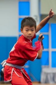 第十屆亞洲青少年武術錦標賽(套路)選拔賽