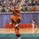 第十五屆世界武術錦標賽(套路)選拔賽