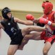 中國武術散手(香港盃)公開賽