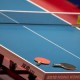 香港殘疾人士乒乓球公開錦標賽