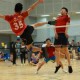 第十四屆粵、港、澳、台四地毽球埠際賽