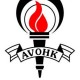 AVOHK 5公里系列賽(3)