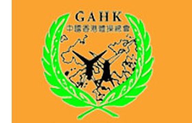 2010年全港彈網公開賽