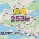 癲傻253