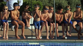 2010 Sea Lion Swimming Gala
