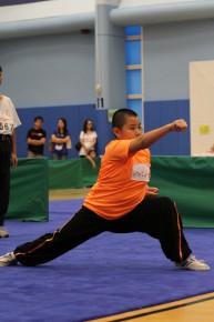 2010全港公開青少年兒童武術分齡賽