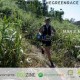 TGR Immortals