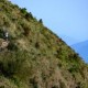TGR Summits