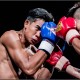 KF1富德百萬拳王大賽