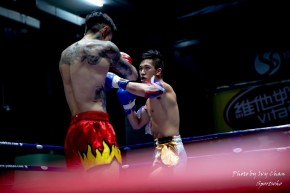 香港泰拳總冠軍爭奪戰總決賽