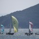 海岸賽艇比賽 - 環島賽 (香港島)