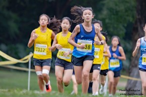 全港「中學校際越野比賽」