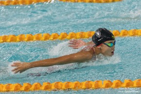 2022至2023年度短池分齡游泳錦標賽